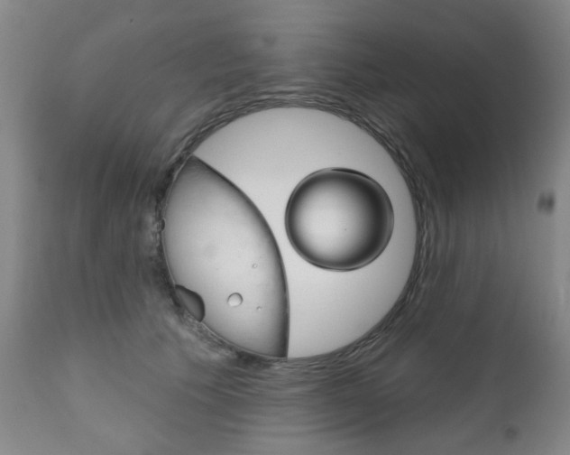 X0000111180609200907011034