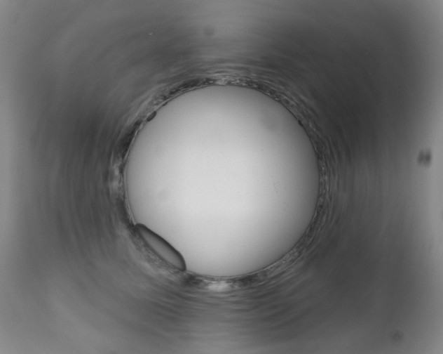 X0000111180611200907011034