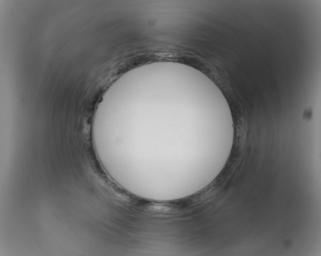 X0000111180614200907011034