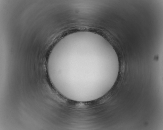 X0000111180616200907011034