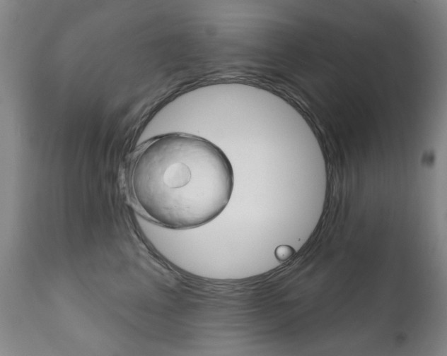 X0000111180617200907011034