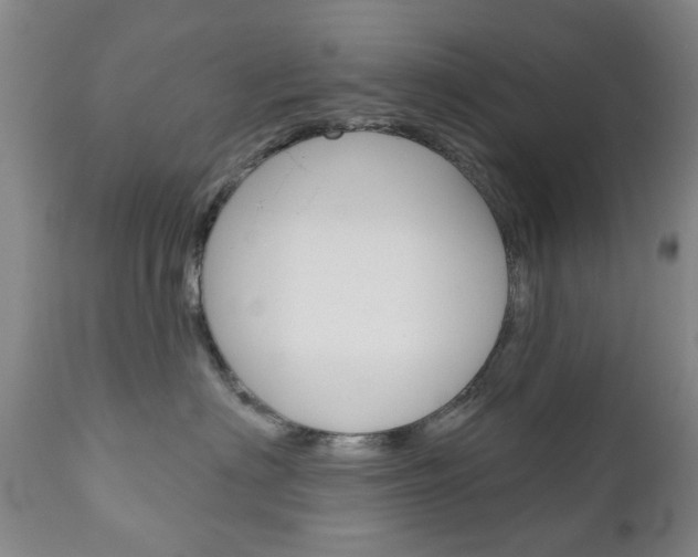 X0000111180622200907011034
