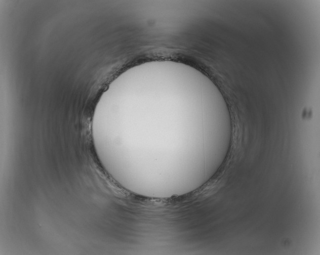 X0000111180624200907011034
