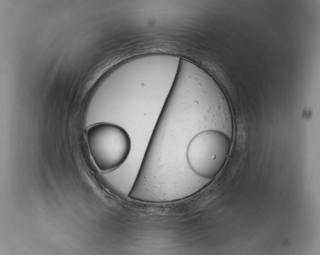X0000111180626200907011033