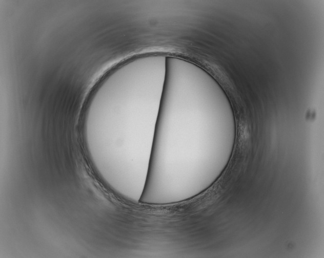 X0000111180628200907011033