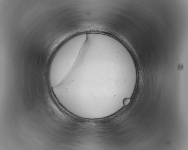 X0000111180629200907011033