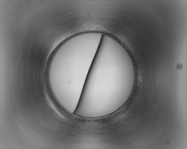 X0000111180630200907011033