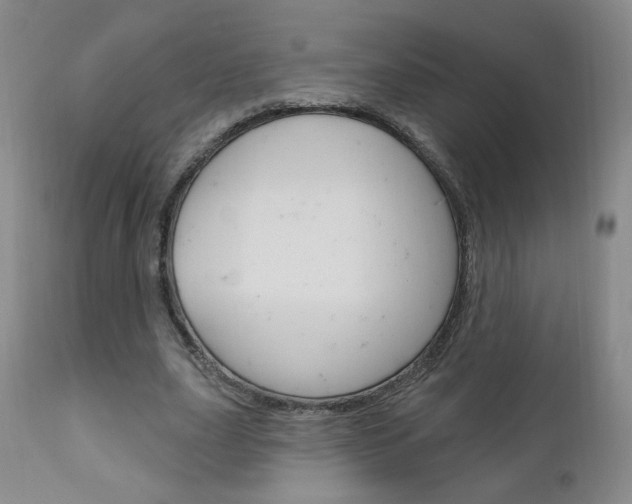 X0000111180631200907011033