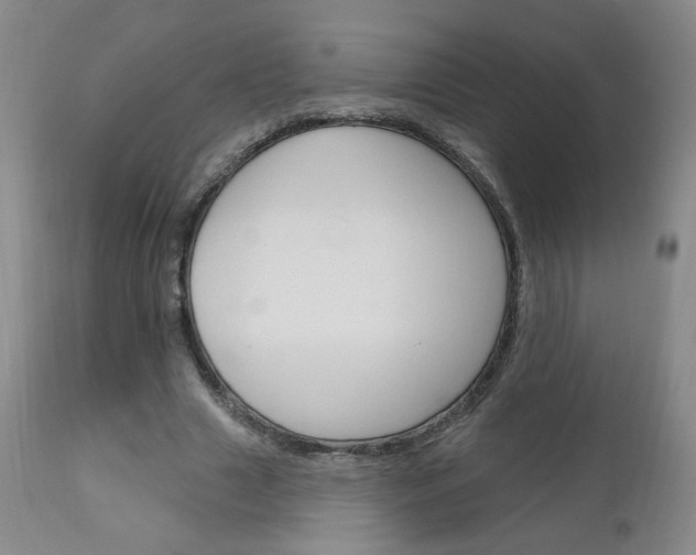 X0000111180633200907011033