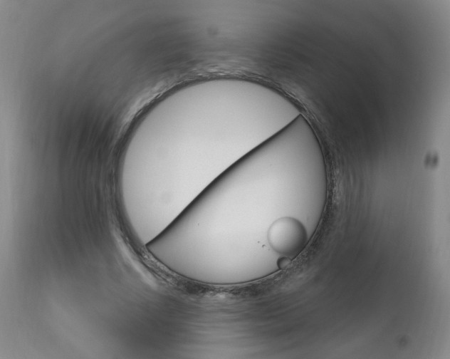 X0000111180634200907011033