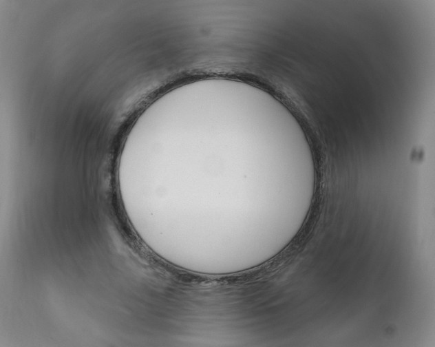 X0000111180635200907011033