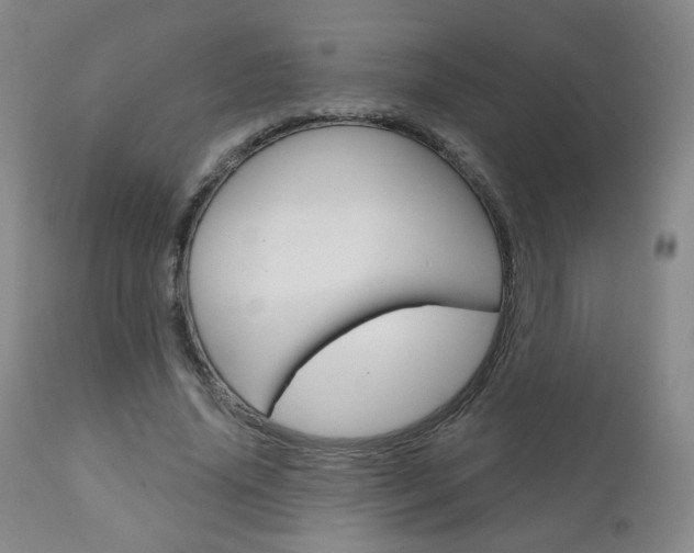 X0000111180636200907011033
