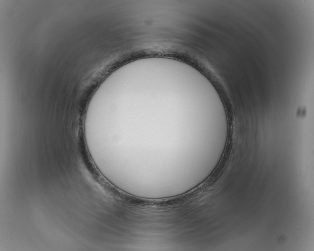 X0000111180637200907011033