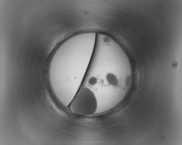 X0000111180638200907011033