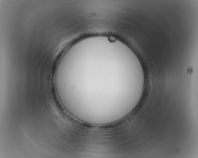 X0000111180640200907011033