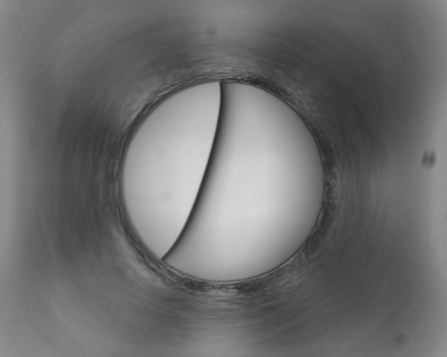 X0000111180642200907011033