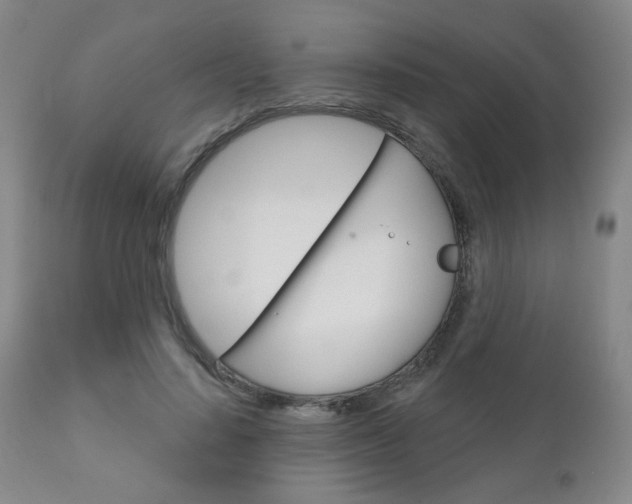 X0000111180644200907011033