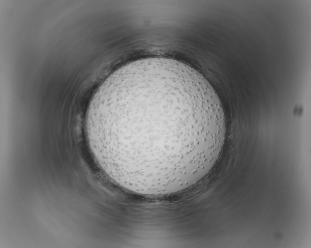 X0000111180646200907011033