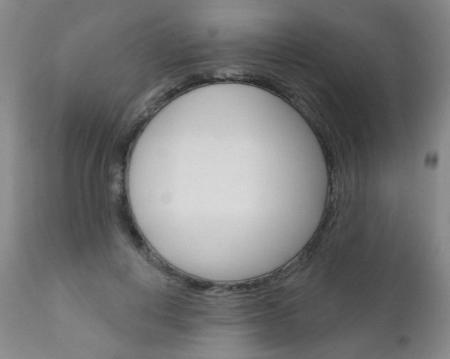 X0000111180648200907011033