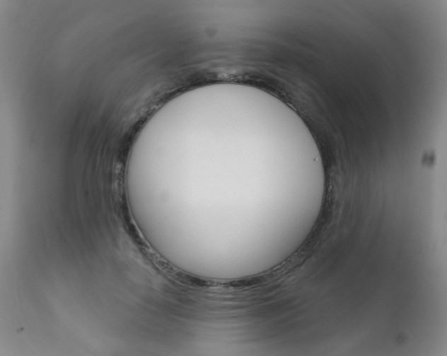 X0000111180650200907011033