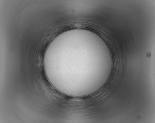 X0000111180651200907011033