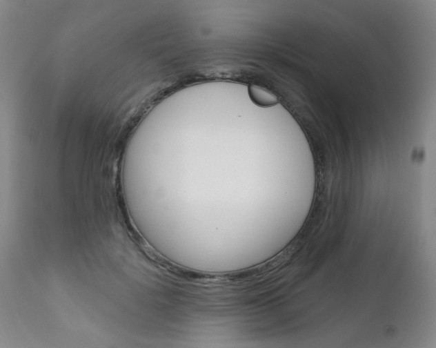 X0000111180652200907011033