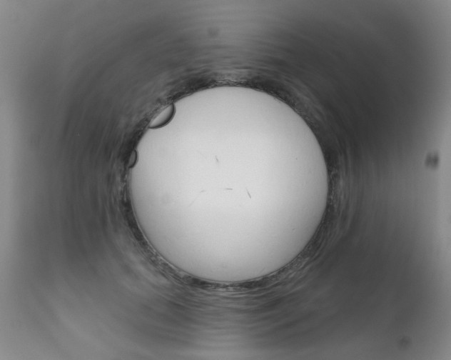 X0000111180655200907011033