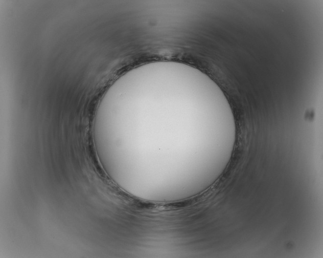 X0000111180656200907011033