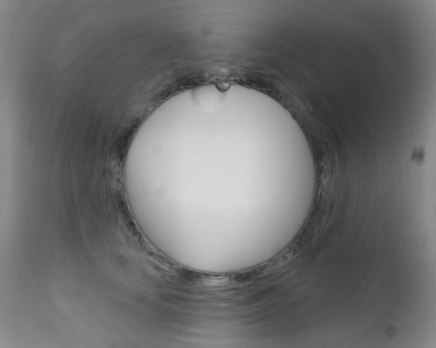 X0000111180659200907011033