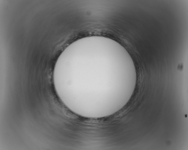 X0000111180661200907011033