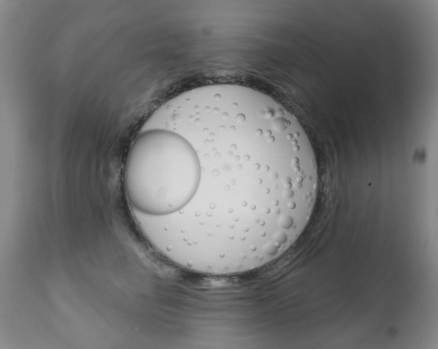 X0000111180662200907011033