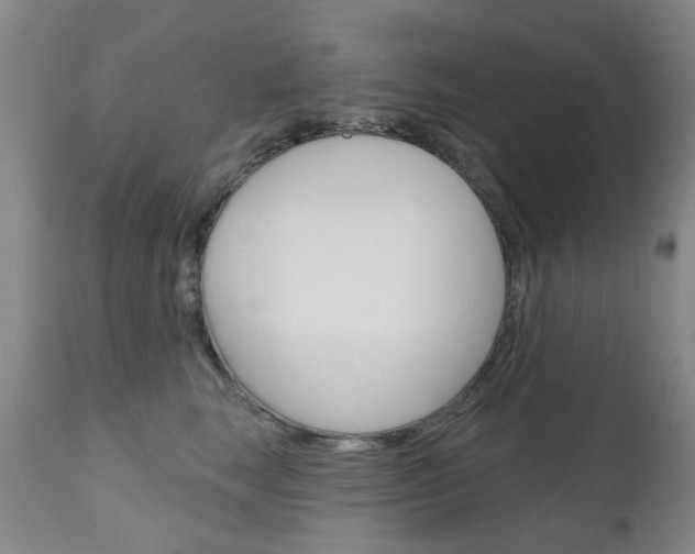 X0000111180663200907011033