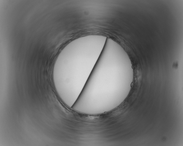 X0000111180664200907011033