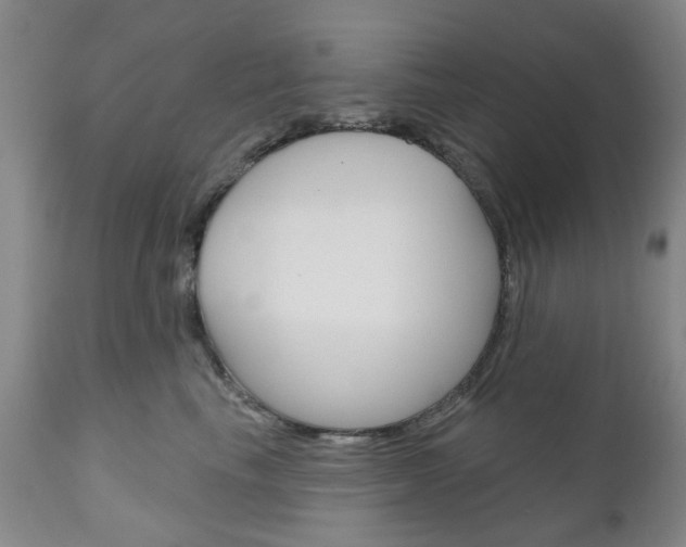 X0000111180665200907011033