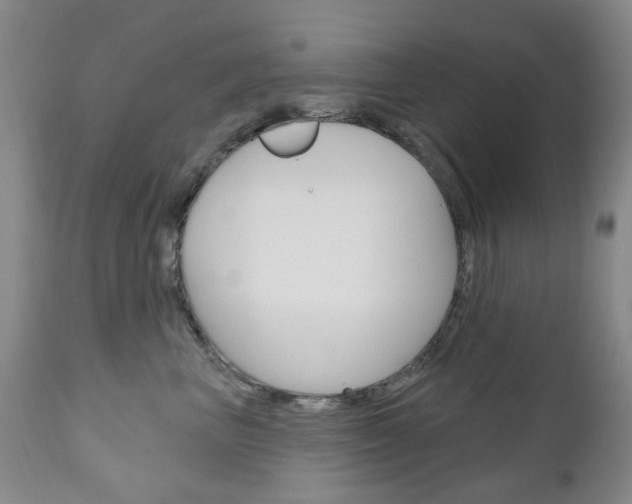 X0000111180667200907011033