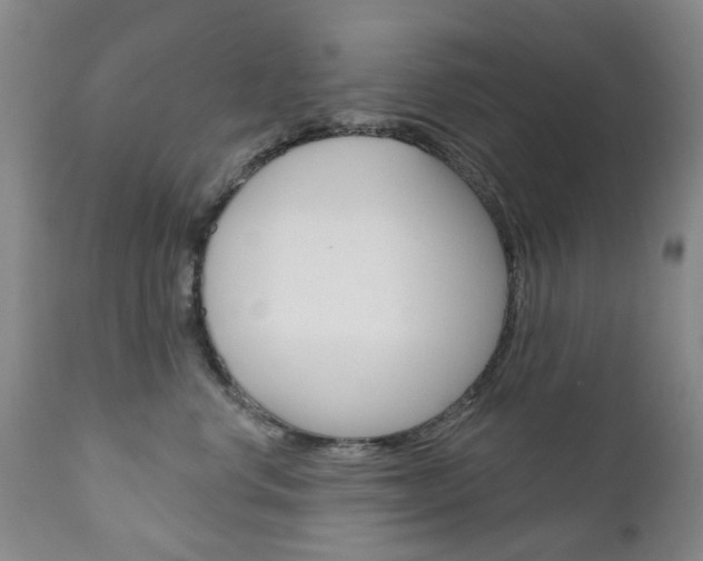 X0000111180668200907011033