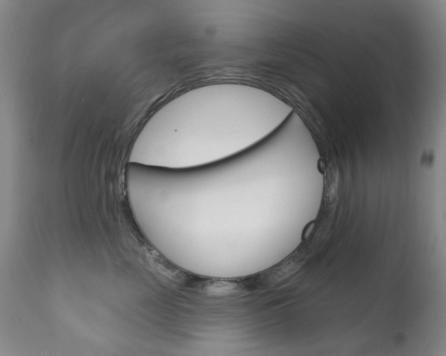 X0000111180669200907011033
