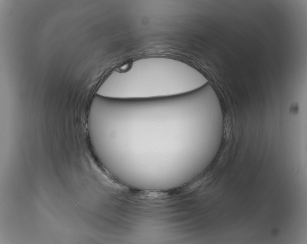 X0000111180670200907011033