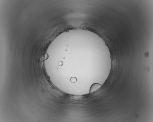 X0000111180671200907011033