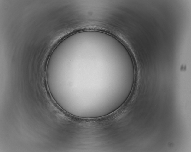 X0000111180673200907011033