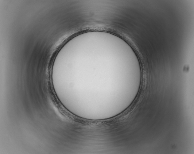 X0000111180674200907011033