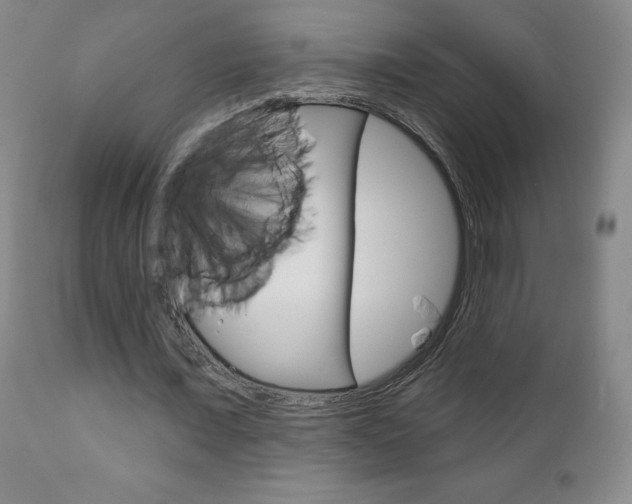 X0000111180675200907011033