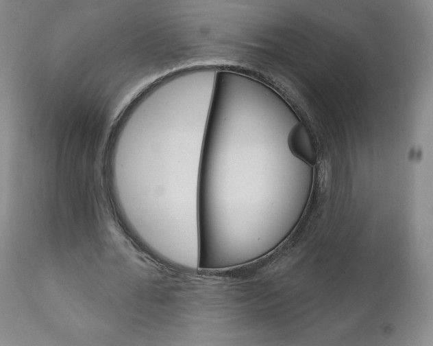 X0000111180676200907011033