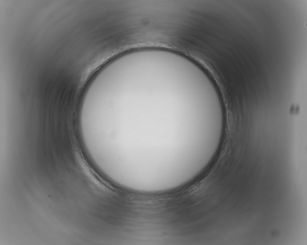 X0000111180677200907011033