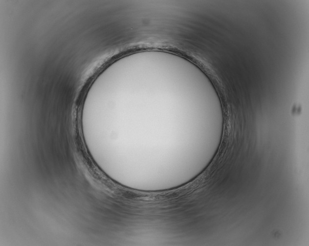 X0000111180678200907011033