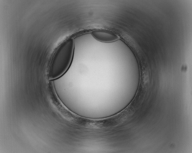 X0000111180680200907011033