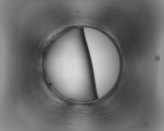 X0000111180681200907011032