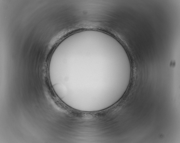 X0000111180682200907011032