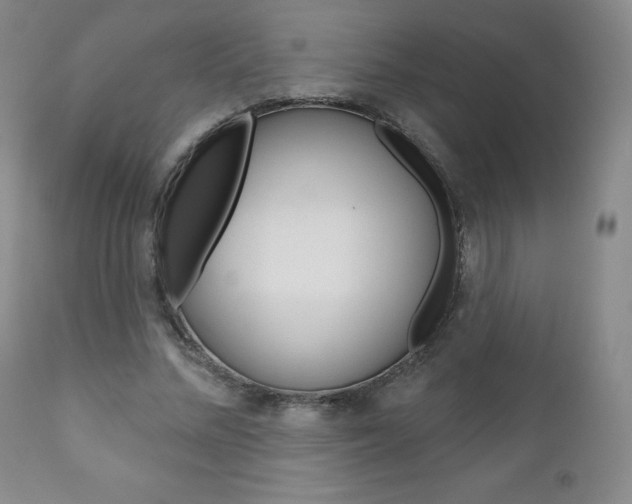 X0000111180684200907011032