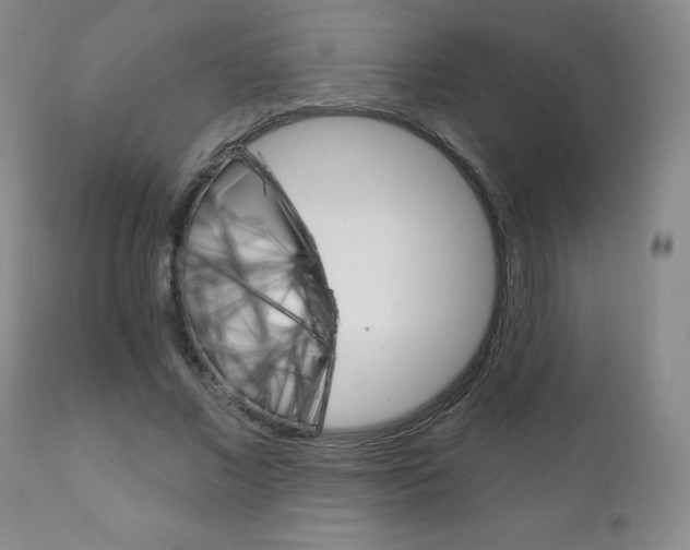 X0000111180685200907011032